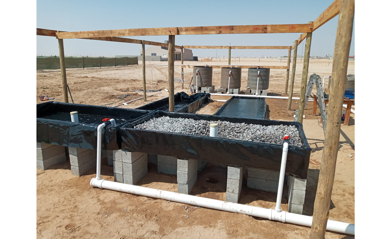 HSF Aquaponics Project Coordinator Henties Bay System Setup