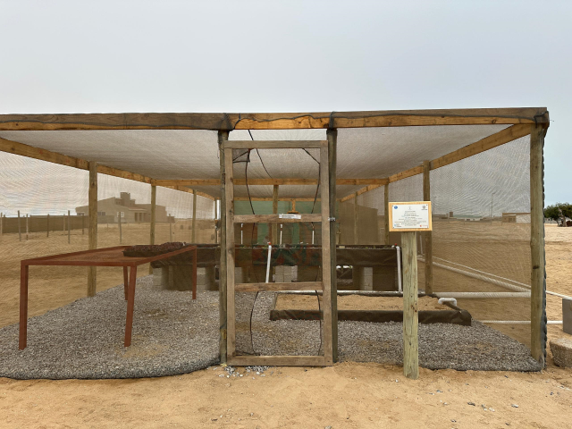 Sam Najuma UNAM Campus Aquaponics System Inauguration, Henties Bay